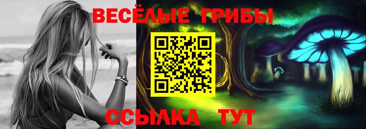 Сланцы  даркнет сайт  Вход с VPN  Псилоцибиновые грибы Magic Shrooms 